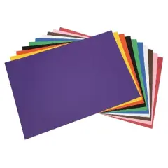 Pacon Tru-Ray 12" x 18" Construction Paper Assorted Colors 50 Sheets/Pack (P103063)