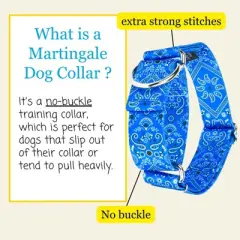 Country Brook Petz HossFit Jr Wide Martingale Dog Collar - Country and Western Collection