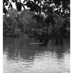 Dawoud Bey: Elegy - by  Valerie Cassel Oliver (Hardcover)