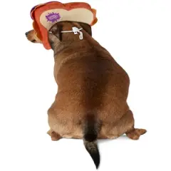 Rubies Yummy World PB&J Face Pet Headpiece Accessory