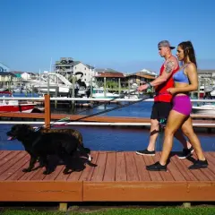 Black Rhino Dog Leash - 6ft Long Leash w/ Padded Comfort Handles & Reflective Lead - Black