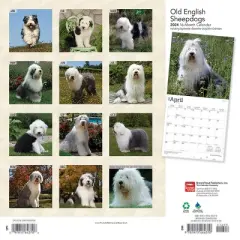 Browntrout 2024 Wall Calendar 12"x12" Old English Sheepdogs
