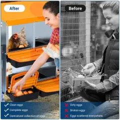 Chicken Nesting Box,Chicken Egg Laying Box with Compartments, Roll Away Eggs Laying Boxes, Nesting Boxes, indoor & Outdoor Use,Easy Egg Collection