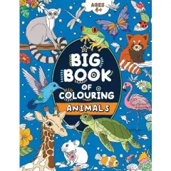 Big Book of Colouring - Large Print by  Fairywren Publishing (Paperback)