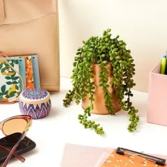 Juvale Potted Faux Succulents Planters, Artificial Plants Faux Home Decor, 4 x 6.5 in