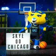 Bleacher Creatures Chicago Sky Skye the Lioness 10" Mascot Plush Figure