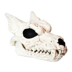 Werewolf Skull Halloween Decoration
