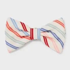 Multistripe Dog and Cat Bowtie - Boots & Barkley&trade; One Size Fits Most