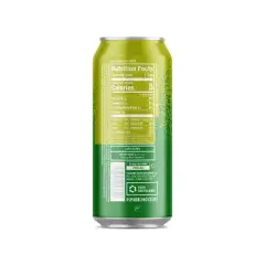 Sparkling Ice +Caffeine Triple Citrus - 16 fl oz Can