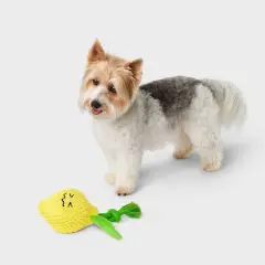 7.5" Lemon Dog Rope Plush Toy - Boots & Barkley&trade;