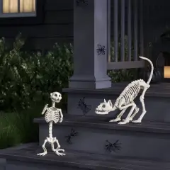 21" Cat Skeleton Halloween Decorative Prop - Hyde and EEK! Boutique&trade;: Indoor/Outdoor Eerie Decor