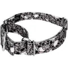 Country Brook Petz Phantom Skulls Martingale Dog Collar (1 Inch, Medium)