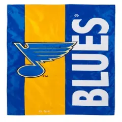 Evergreen NHL St Louis Blues Embroidered Logo Applique Garden Flag, 12.5 x 18 inches Indoor Outdoor Double Sided Decor for Hockey Fans