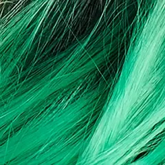 Adult Premium Wig Green Sorceress - Hyde and EEK! Boutique&trade;