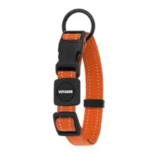 Voyager Adjustable Nylon Collar and Leash Combo for Dogs and Cats