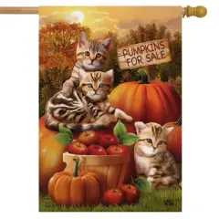 Fall Kittens Pumpkins House Flag Apple Basket Autumn 28" x 40 Briarwood Lane