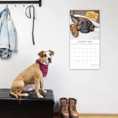 The Gifted Stationery 2025 Square Wall Calendar, Dog Shaming, 16-Month Humor Theme with 180 Reminder Stickers (12 x 12 In)