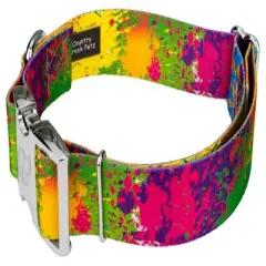 Country Brook Petz 1 1/2 Inch Premium Paint Splatter Dog Collar