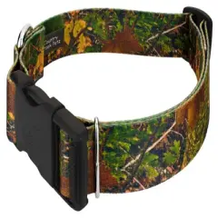 Country Brook Petz 1 1/2 Inch Deluxe Southern Forest Camo Dog Collar