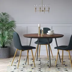 Copley Velvet Dining Chair with Brass Leg - Project 62