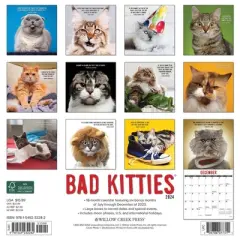 Willow Creek Press 2024 Wall Calendar 12"x12" Bad Kitties