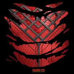 Junior's Shang-Chi and the Legend of the Ten Rings Costume T-Shirt