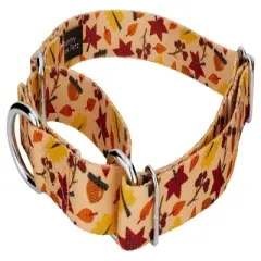 Country Brook Petz Fall Foliage Martingale Dog Collar