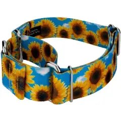 Country Brook Petz 2 Inch Sunflowers Martingale Dog Collar