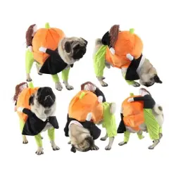Pet Life 'Pumpkin Mon' Dog Pumkin Carrying Halloween Dog Costume, LG