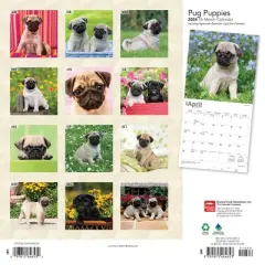 Browntrout 2024 Wall Calendar 12"x12" Pug Puppies