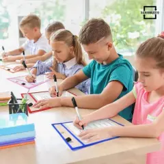 SCRIBBLEDO Reusable Dry Erase Pockets 50-Pack &ndash; Colorful Write & Wipe Sleeves for 8.5"x11" Worksheets