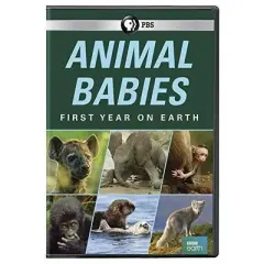Animal Babies: First Year On Earth (DVD)