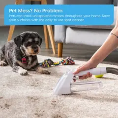 IRIS USA Lightweight and Portable Carpet Cleaner Machine, White