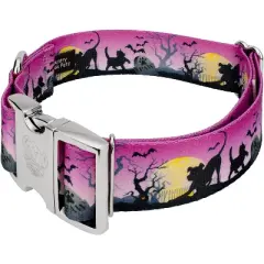 Country Brook Petz HossFit Jr Wide Premium  Dog Collar - Halloween Collection