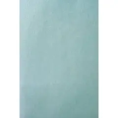 8ct Tissue Paper Pearlized Teal - Spritz&trade;: Wrapping Tissue for Gift Bag, Solid Multicolor, 16.5"x24"