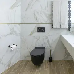 Cobbe Matte Black Toiler Paper Holder Wall Mount, Double Post Pivoting Toilet Paper Roll Holder for Bathroom, SUS 304 Stainless Steel