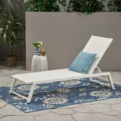 Myers Aluminum Outdoor Patio Chaise Lounge - White - Christopher Knight Home: Weather-Resistant, Traditional Style