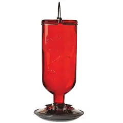 Perky-Pet Hummingbird 16 oz Glass/Metal/Plastic Nectar Feeder 4 ports (Case of 2)