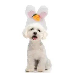 Unique Bargains Halloween Rabbit Pet Headwear White Pink Orange 1 Pc
