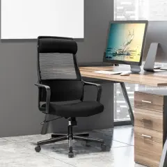 Costway Adjustable Mesh Office Task Chair Heating Lumbar Support Headrest Grey\Black