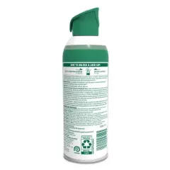 Lysol Mountain Spring Air Sanitizer Spray - 10oz