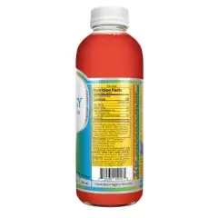 Synergy The Real Kombucha, Trilogy &ndash; 16 fl oz