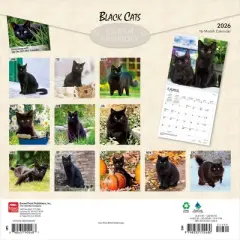 BrownTrout Black Cats 2026 12"x24" Hanging Square Wall Calendar Plastic-Free