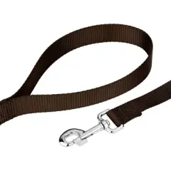 Country Brook Petz - 1 Inch Nylon Dog Leash