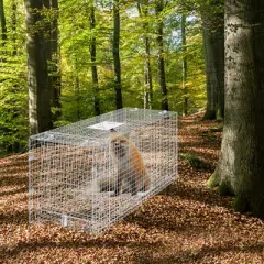 VEVOR Live Animal Cage Trap, 42" x 16" x 18" Humane Cat Trap Galvanized Iron, Folding Animal Trap with Handle for Stray Dogs, Armadillos, Raccoons