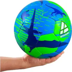 Vizari Dino Soccer Balls