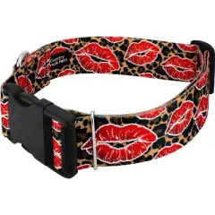 Country Brook Petz HossFit Jr Wide Deluxe Dog Collar - Affection Collection