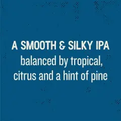 Lagunitas Little Sumpin' Sumpin' Ale Beer - 6pk/12 fl oz Cans