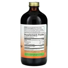Dynamic Health Liquid Chlorophyll, Natural Spearmint, 16 fl oz (473 ml)