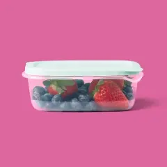 Snap & Store Small Rectangle Food Storage Containers - 16 fl oz/4ct - up&up&trade;